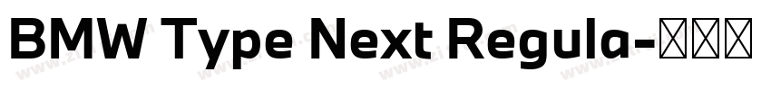 BMW Type Next Regula字体转换 BMW Type Next Regula字体转换
